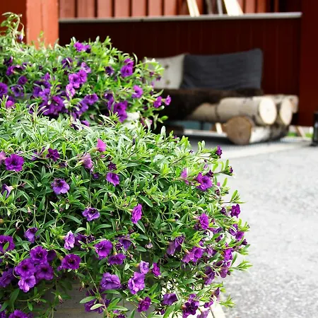 Camping Camp Sjusjoen Mesnali