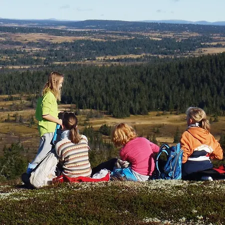 Campsite Camp Sjusjoen *